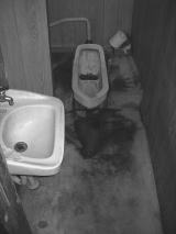 �a������l��